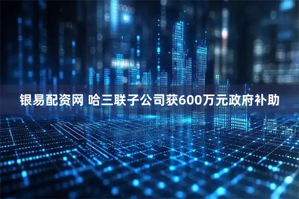 银易配资网 哈三联子公司获600万元政府补助