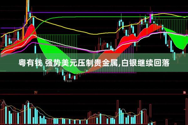 粤有钱 强势美元压制贵金属,白银继续回落