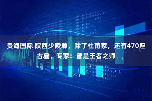 贵海国际 陕西少陵塬，除了杜甫家，还有470座古墓，专家：曾是王者之师