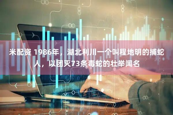 米配资 1986年，湖北利川一个叫程地明的捕蛇人，以团灭73条毒蛇的壮举闻名