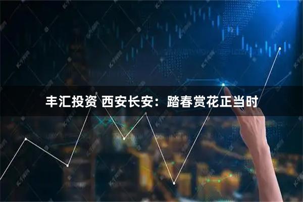 丰汇投资 西安长安:踏春赏花正当时