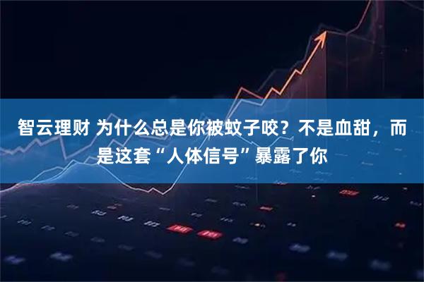 智云理财 为什么总是你被蚊子咬？不是血甜，而是这套“人体信号”暴露了你