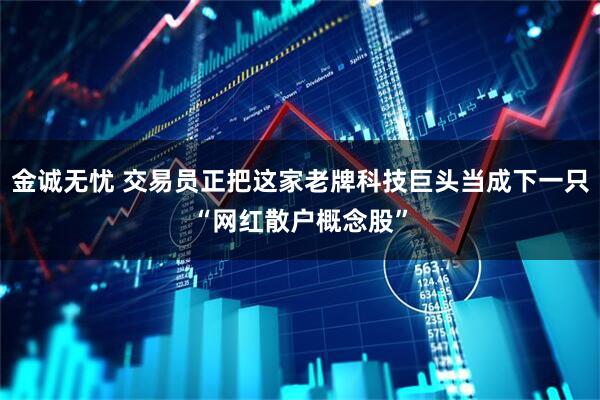金诚无忧 交易员正把这家老牌科技巨头当成下一只“网红散户概念股”