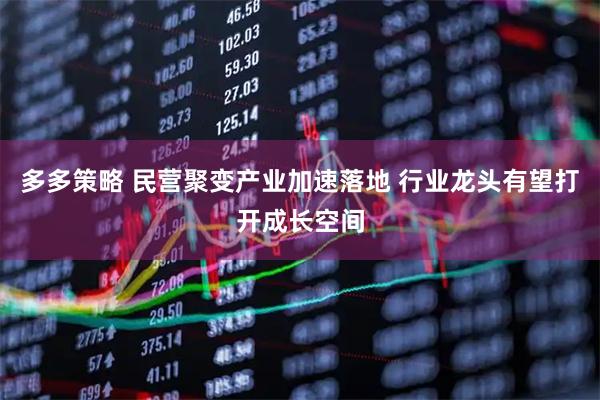 多多策略 民营聚变产业加速落地 行业龙头有望打开成长空间