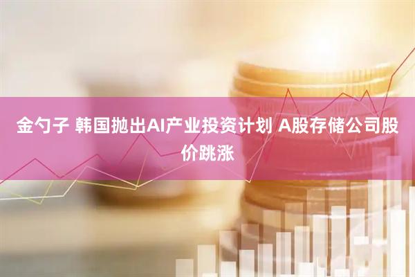 金勺子 韩国抛出AI产业投资计划 A股存储公司股价跳涨