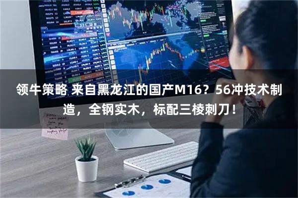 领牛策略 来自黑龙江的国产M16？56冲技术制造，全钢实木，标配三棱刺刀！