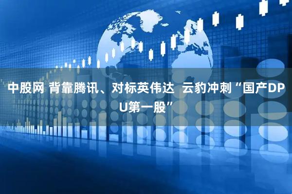 中股网 背靠腾讯、对标英伟达  云豹冲刺“国产DPU第一股”