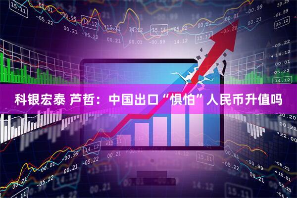 科银宏泰 芦哲:中国出口“惧怕”人民币升值吗