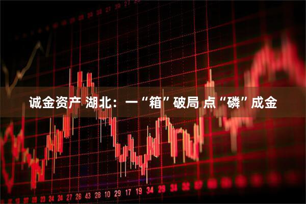 诚金资产 湖北：一“箱”破局 点“磷”成金