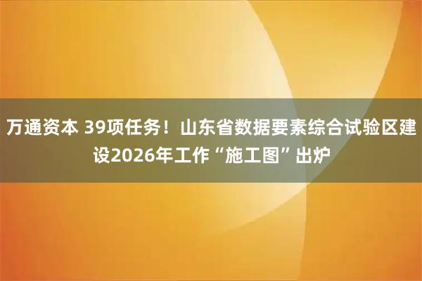 万通资本 39项任务！山东省数据要素综合试验区建设2026年工作“施工图”出炉