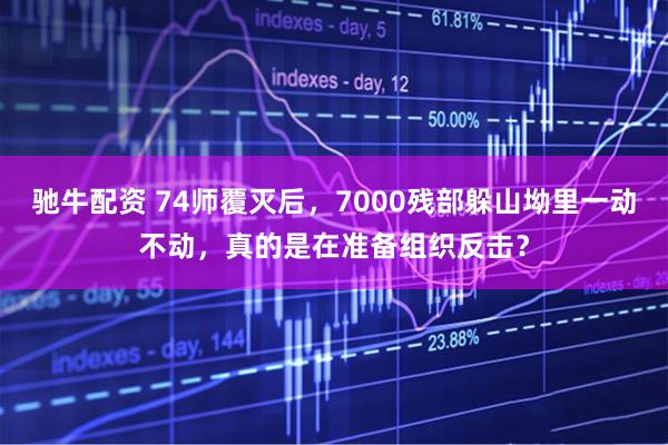 驰牛配资 74师覆灭后，7000残部躲山坳里一动不动，真的是在准备组织反击？