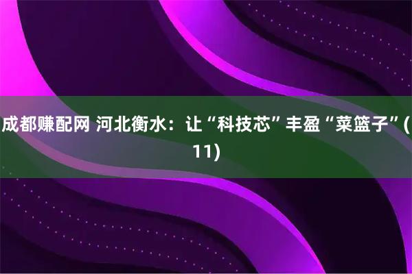 成都赚配网 河北衡水：让“科技芯”丰盈“菜篮子”(11)