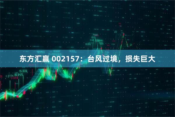 东方汇赢 002157：台风过境，损失巨大